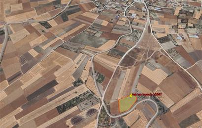 CENTURY21 BAL’DAN  ASLIHANTEPECİK MAHALLESİNDE SATILIK TARLA 