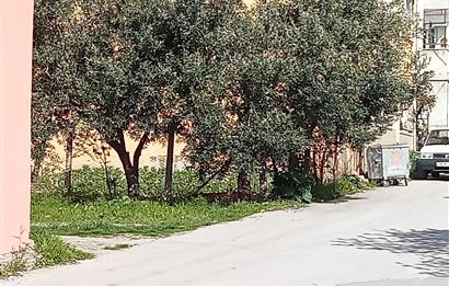 CENTURY21 BAL'DAN 2.SAKARYA MAHALLESİNDE SATILIK ARSA