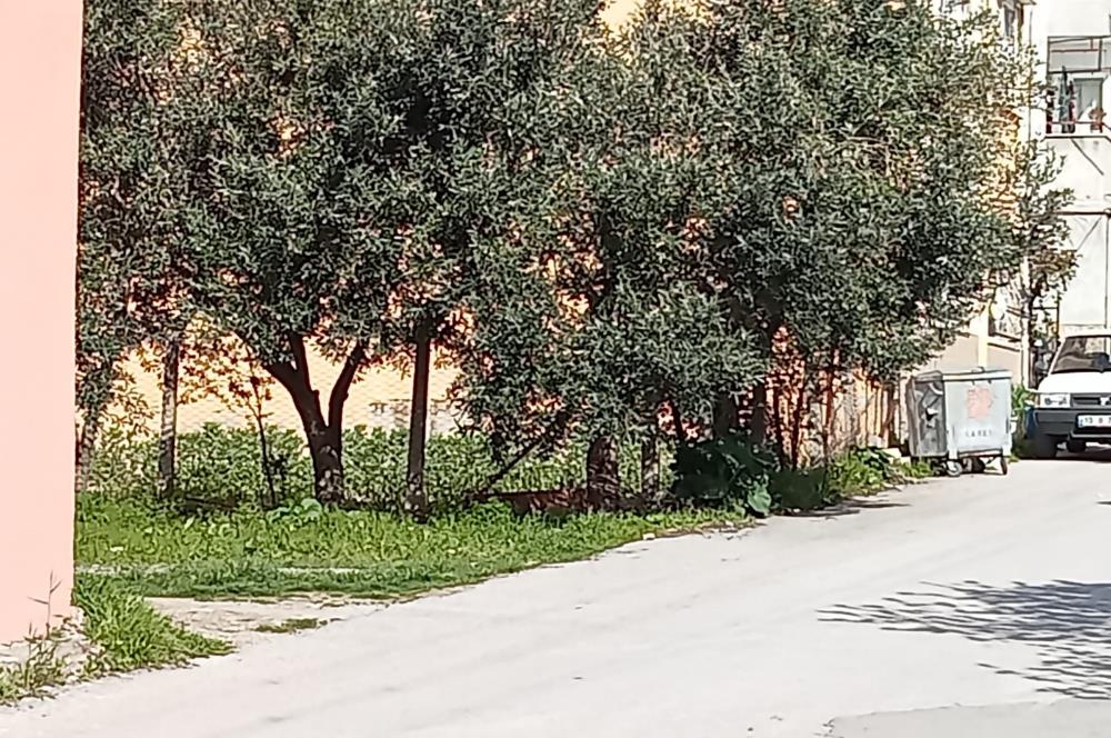 CENTURY21 BAL'DAN 2.SAKARYA MAHALLESİNDE SATILIK ARSA