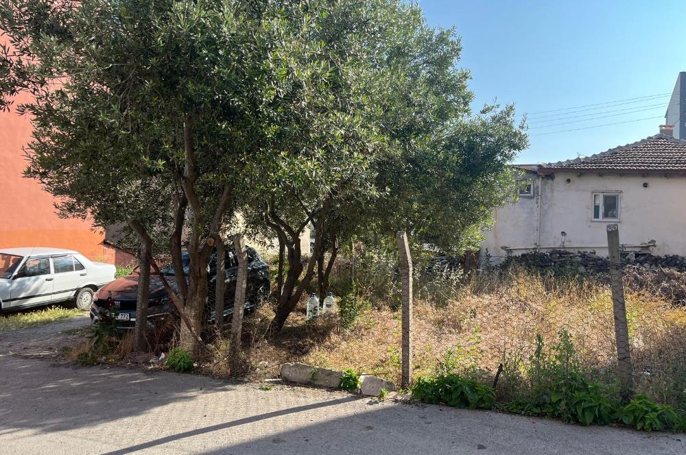 CENTURY21 BAL'DAN 2.SAKARYA MAHALLESİNDE SATILIK ARSA