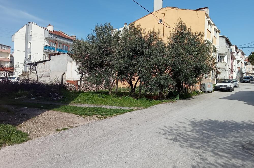 CENTURY21 BAL'DAN 2.SAKARYA MAHALLESİNDE SATILIK ARSA