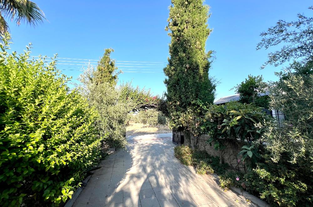 Girne Ozanköy Havuzlu Geniş Arsalı 3+1 Villa