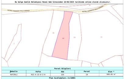 C21 Cius; Katırlı 999 m² Yola Cephe Satılık Zeytinlik