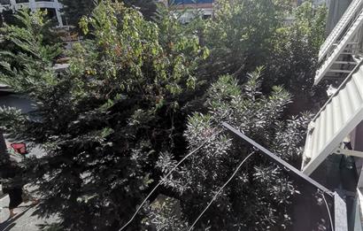 KAYASULTAN SOKAKTA GELECEĞE YATIRIM YAPMAK İSTEYENLERE FIRSAT