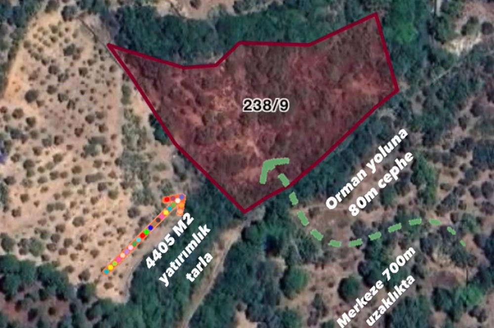 İzmir Bayındır Sarıyurt Mahallesi’nde 4405 m² Satılık Tarla!