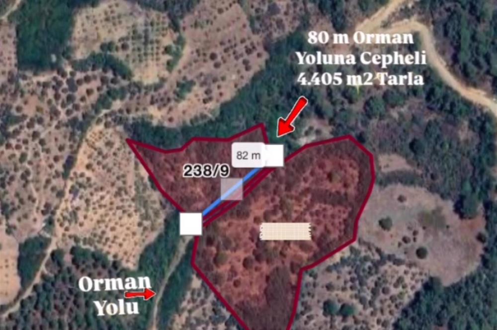 İzmir Bayındır Sarıyurt Mahallesi’nde 4405 m² Satılık Tarla!