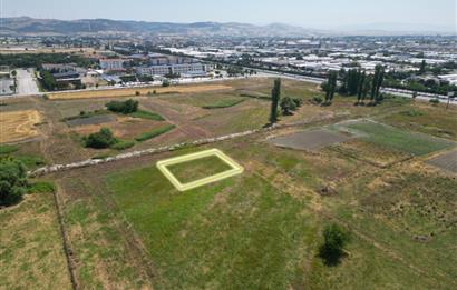 Century21 Bal'dan Paşaalanından 4 kat imarlı 589 m2 Arsa