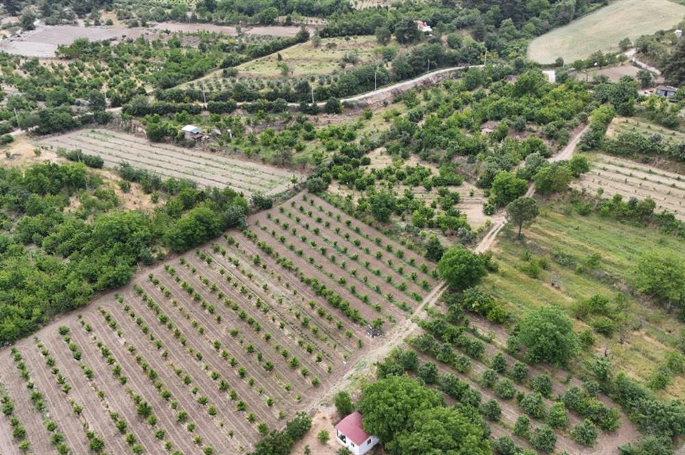 3289m2 SATILIK KİRAZ BAHÇESİ-HONAZ MENTEŞE’DE YATIRIMLIK FIRSAT