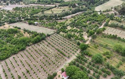 3289m2 SATILIK KİRAZ BAHÇESİ-HONAZ MENTEŞE’DE YATIRIMLIK FIRSAT