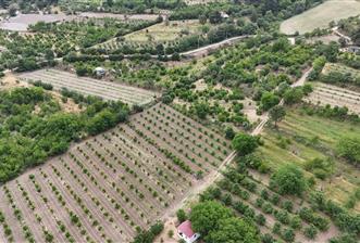 3289m2 SATILIK KİRAZ BAHÇESİ-HONAZ MENTEŞE’DE YATIRIMLIK FIRSAT