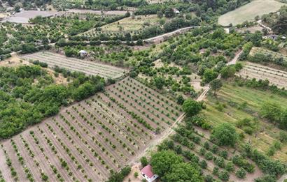 3289m2 SATILIK KİRAZ BAHÇESİ-HONAZ MENTEŞE’DE YATIRIMLIK FIRSAT