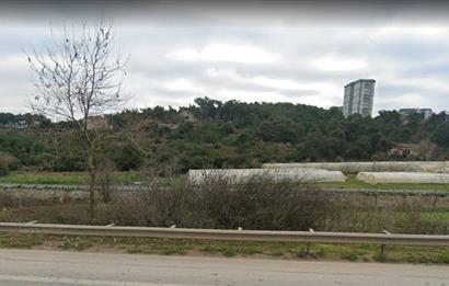 TUZLA AYDINLI'DA YATIRIMLIK TARLA