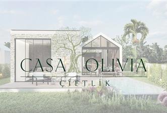 Bodrum Yalıçiftlik Projeden Satılık Özel Havuzlu Villalar