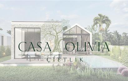Bodrum Yalıçiftlik Projeden Satılık Özel Havuzlu Villalar