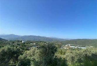 MUĞLA FETHİYE BOZYER YOLA CEPHE SATILIK TARLA