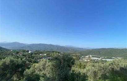 MUĞLA FETHİYE BOZYER YOLA CEPHE SATILIK TARLA