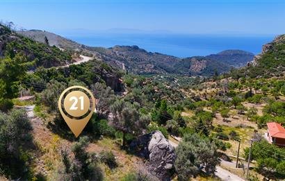 2,231 m² Almond Grove Land for Sale in Mesudiye, Datça