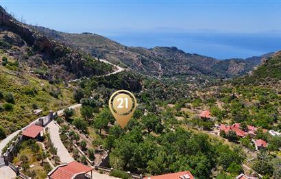 Datca Mesudiye'de Bdemlik Vasfında 2231 m2 Arazi