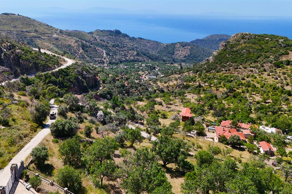 Datca Mesudiye'de Bdemlik Vasfında 2231 m2 Arazi