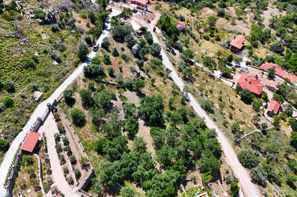 Datca Mesudiye'de Bdemlik Vasfında 2231 m2 Arazi