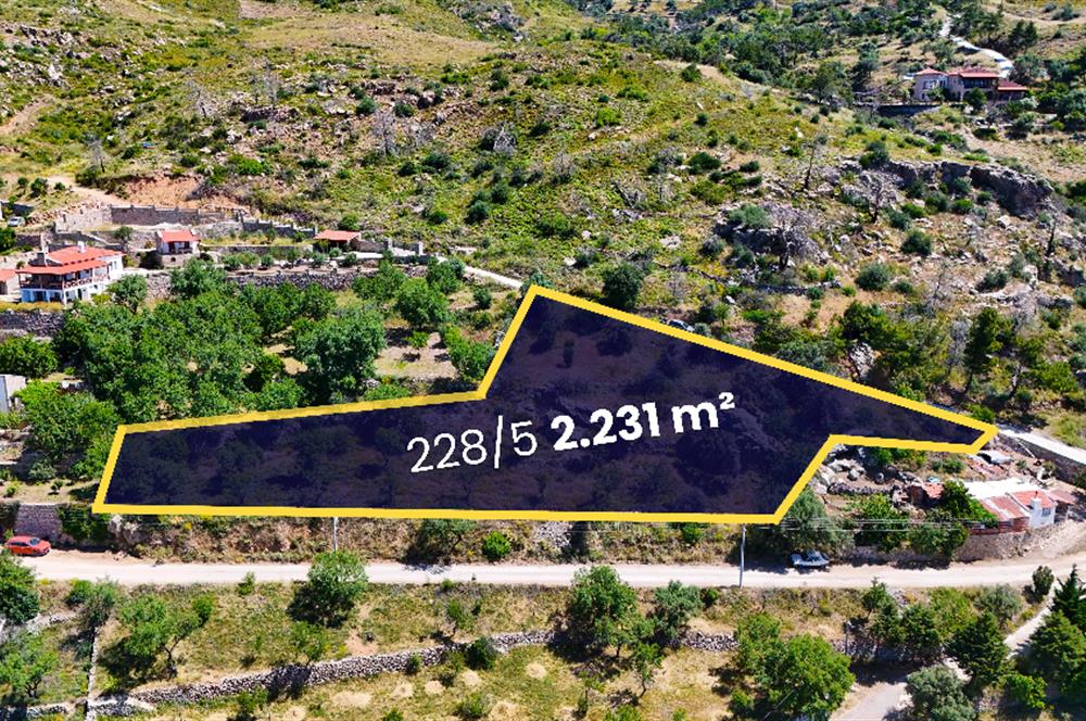 Datca Mesudiye'de Bdemlik Vasfında 2231 m2 Arazi