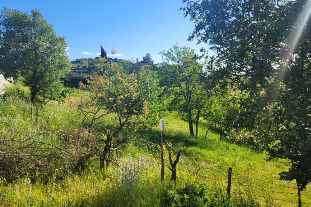 C21 BAL'DAN ALTIEYLÜL BOZEN MAH.'DE SATILIK 1211 M2 KÖYİÇİ TARLA
