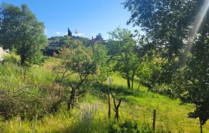 C21 BAL'DAN ALTIEYLÜL BOZEN MAH.'DE SATILIK 1211 M2 KÖYİÇİ TARLA
