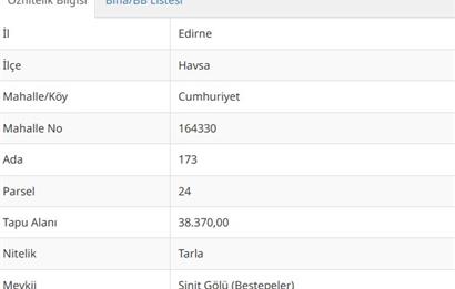 EDİRNE HAVSA'DA 38370 M² SATILIK TARLA