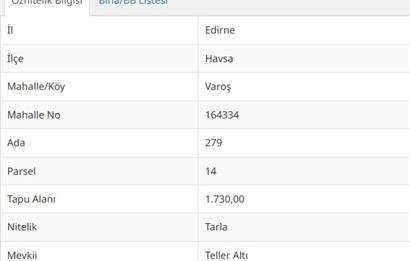 EDİRNE HAVSA'DA 1730 M² SATILIK TARLA