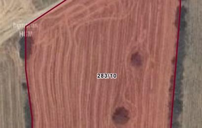EDİRNE HAVSA'DA 7922 M² SATILIK TARLA
