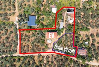 C21 Cius;Armutlu Karşıyaka Doğaİçerisinde Satılık Müstakil Villa