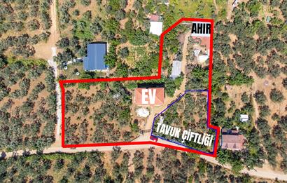C21 Cius;Armutlu Karşıyaka Doğaİçerisinde Satılık Müstakil Villa