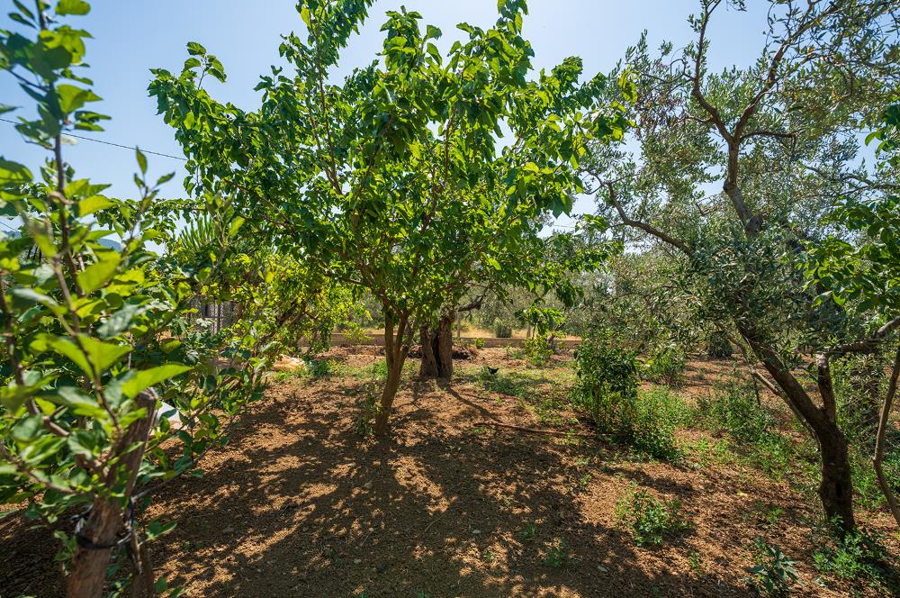 C21 Cius;Armutlu Karşıyaka Doğaİçerisinde Satılık Müstakil Villa