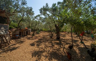 C21 Cius;Armutlu Karşıyaka Doğaİçerisinde Satılık Müstakil Villa