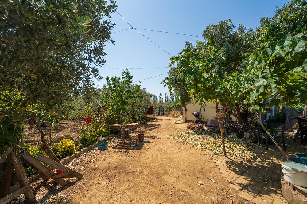 C21 Cius;Armutlu Karşıyaka Doğaİçerisinde Satılık Müstakil Villa
