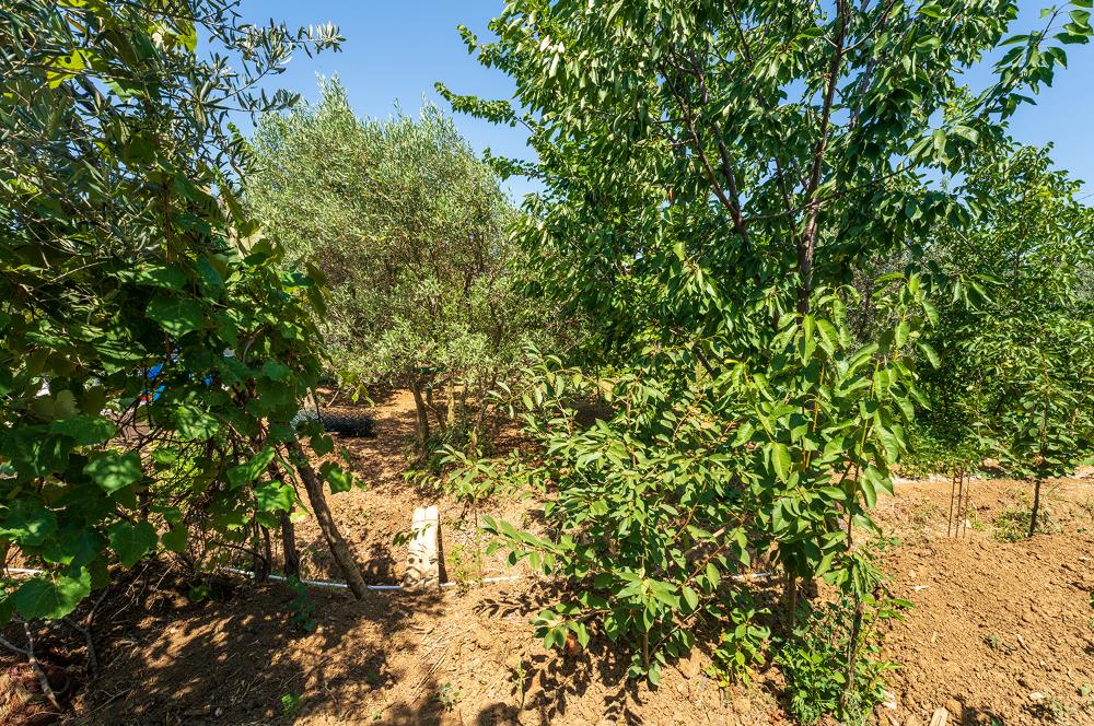 C21 Cius;Armutlu Karşıyaka Doğaİçerisinde Satılık Müstakil Villa