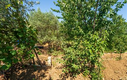 C21 Cius;Armutlu Karşıyaka Doğaİçerisinde Satılık Müstakil Villa