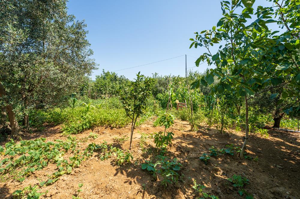 C21 Cius;Armutlu Karşıyaka Doğaİçerisinde Satılık Müstakil Villa