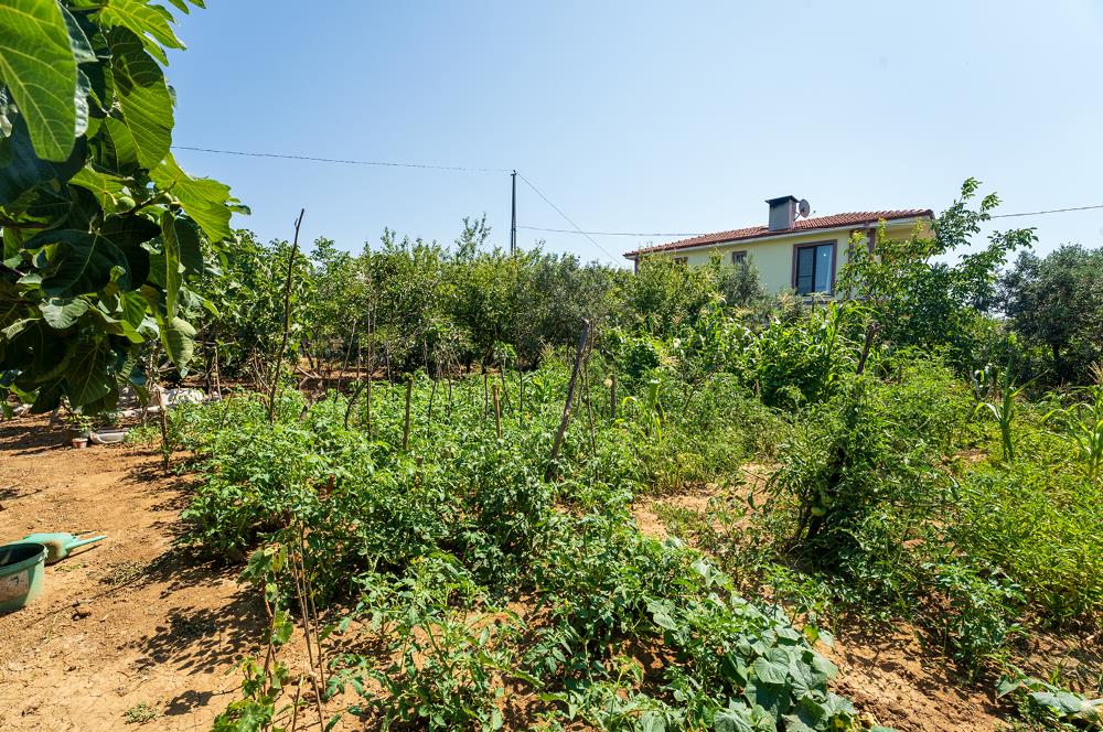 C21 Cius;Armutlu Karşıyaka Doğaİçerisinde Satılık Müstakil Villa