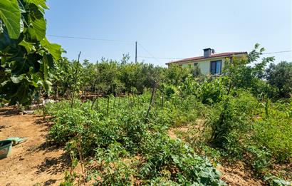 C21 Cius;Armutlu Karşıyaka Doğaİçerisinde Satılık Müstakil Villa