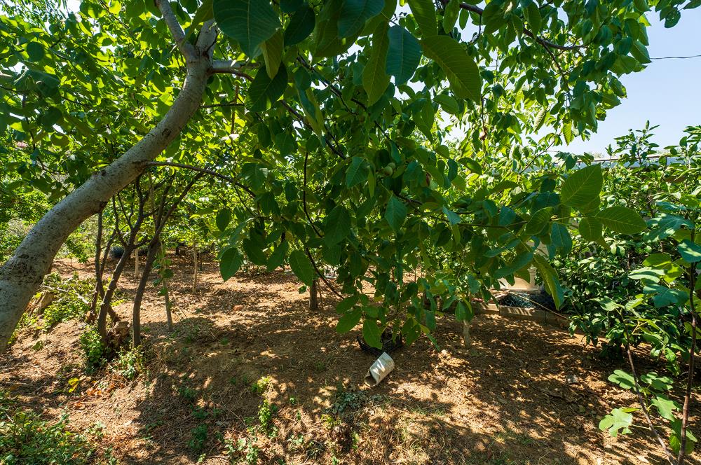 C21 Cius;Armutlu Karşıyaka Doğaİçerisinde Satılık Müstakil Villa