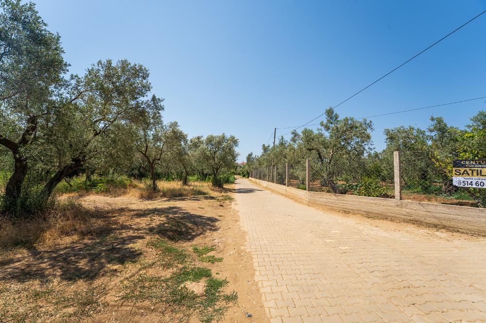 C21 Cius;Armutlu Karşıyaka Doğaİçerisinde Satılık Müstakil Villa