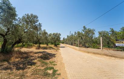C21 Cius;Armutlu Karşıyaka Doğaİçerisinde Satılık Müstakil Villa