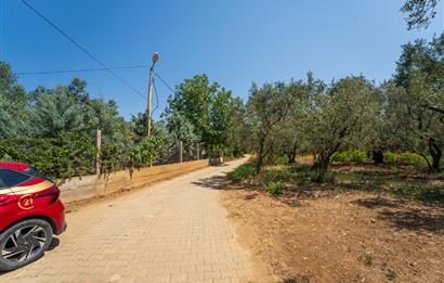 C21 Cius;Armutlu Karşıyaka Doğaİçerisinde Satılık Müstakil Villa