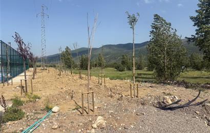 ILGAZ NEF PROJESİNDE SATILIK FIRSAT ARSA