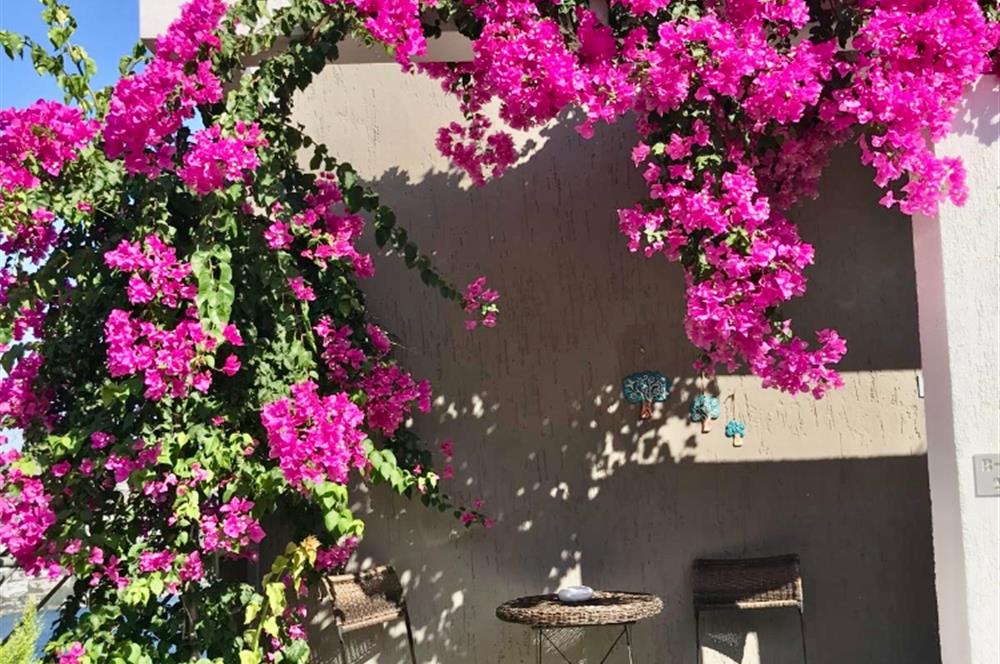 Bodrum Gündoğan Satılık Deniz Manzaralı Daire