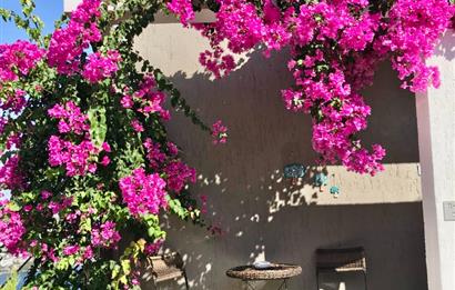 Bodrum Gündoğan Satılık Deniz Manzaralı Daire