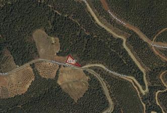 DENİZLİ KALE ESENKAYA'DA SATILIK YOL ÜZERİ YATIRIMLIK TARLA