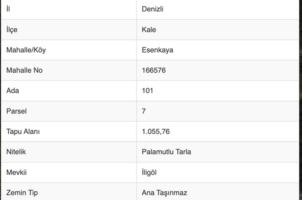 DENİZLİ KALE ESENKAYA'DA SATILIK YOL ÜZERİ YATIRIMLIK TARLA