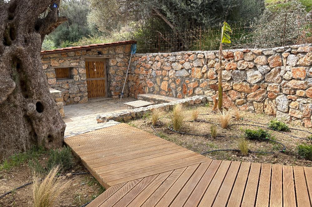 Bodrum Mazı Sezonluk Kiralık Villa